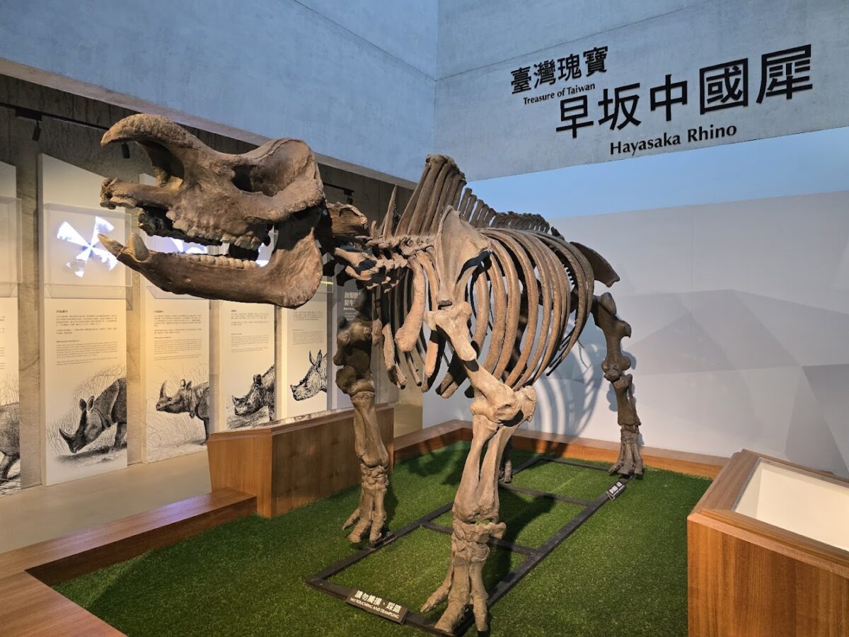 左鎮化石園區內部展品