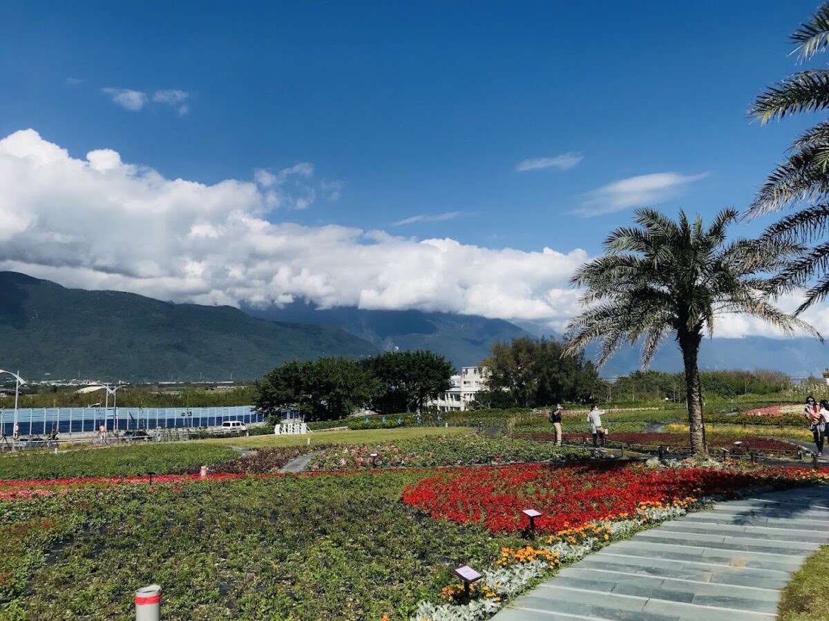 曼波海洋生態休閒園區植栽