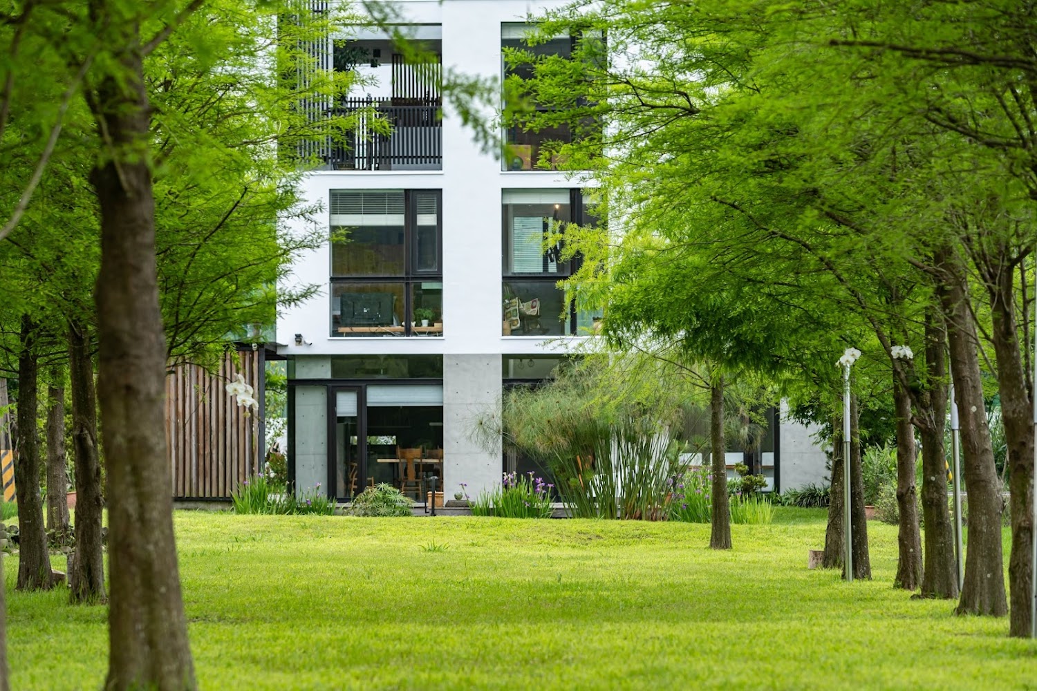 小雨天 Villa 民宿外觀，被綠意包圍的靜謐空間