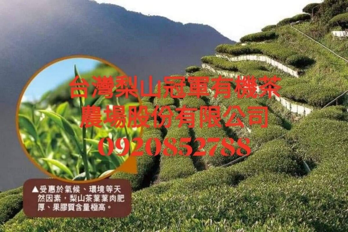 梨山有機茶農場