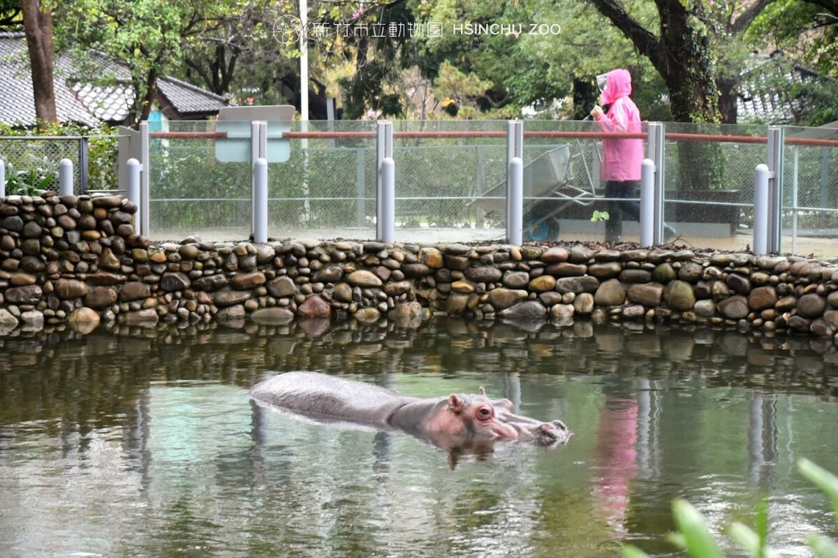 新竹動物園空拍景觀