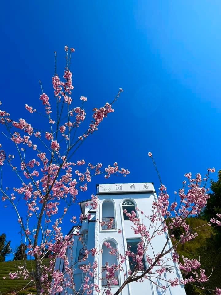 淵明居客棧特色外觀