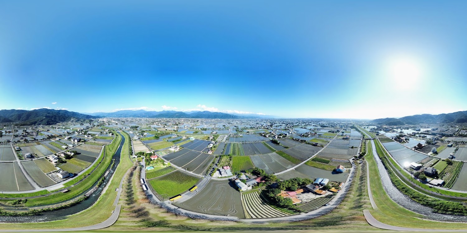 安農溪落羽松周邊街景