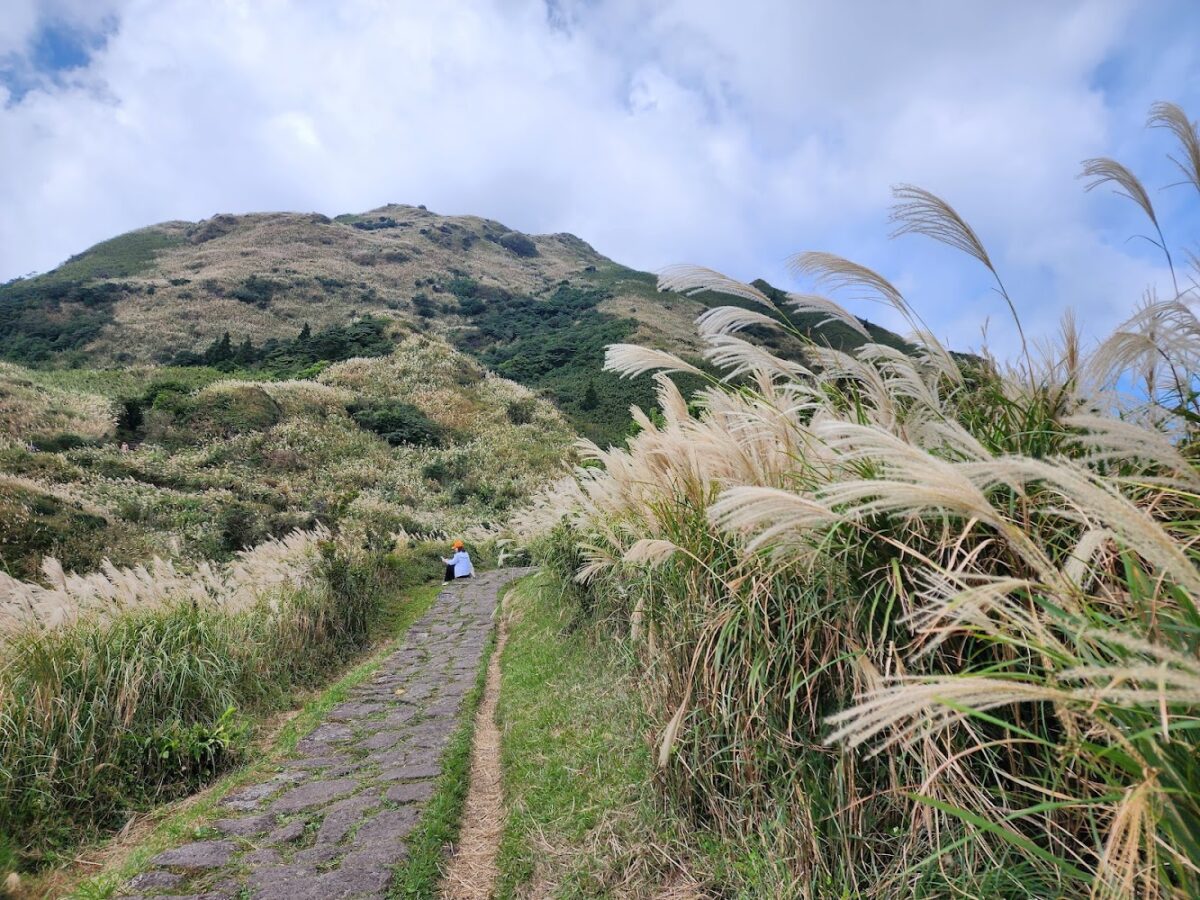 陽明山登山步道
