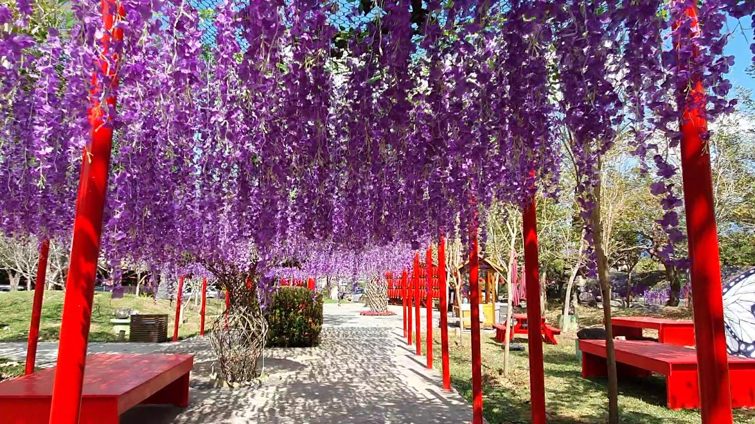 水與松森林莊園園區景色