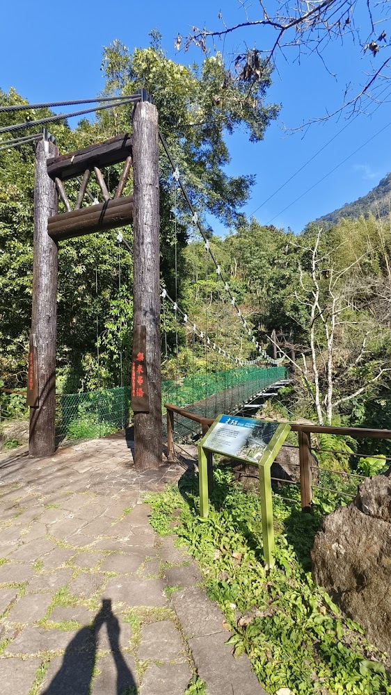 迷糊步道內部竹林景觀與木棧道
