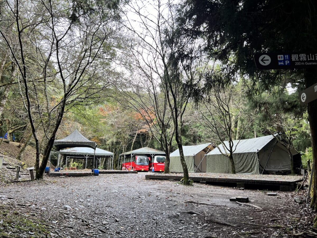 霧社櫻王近景