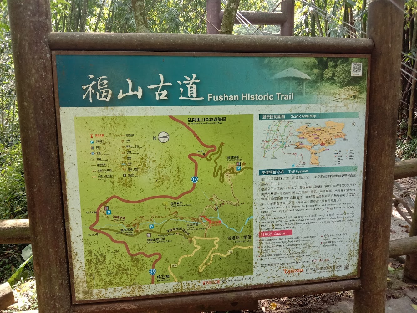 阿里山迷糊步道入口標示與綠意盎然的環境