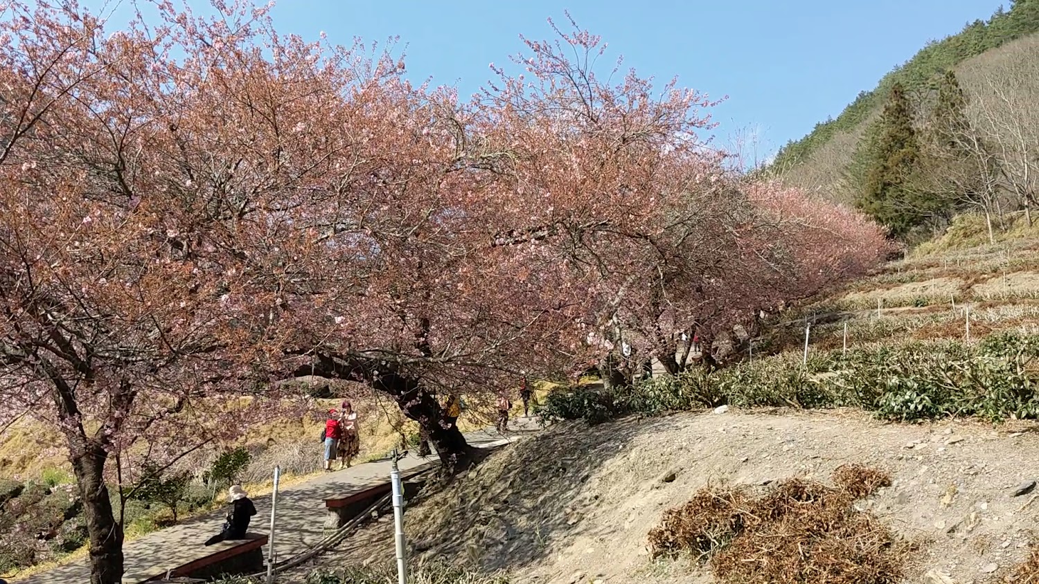 雪山登山口服務站美景