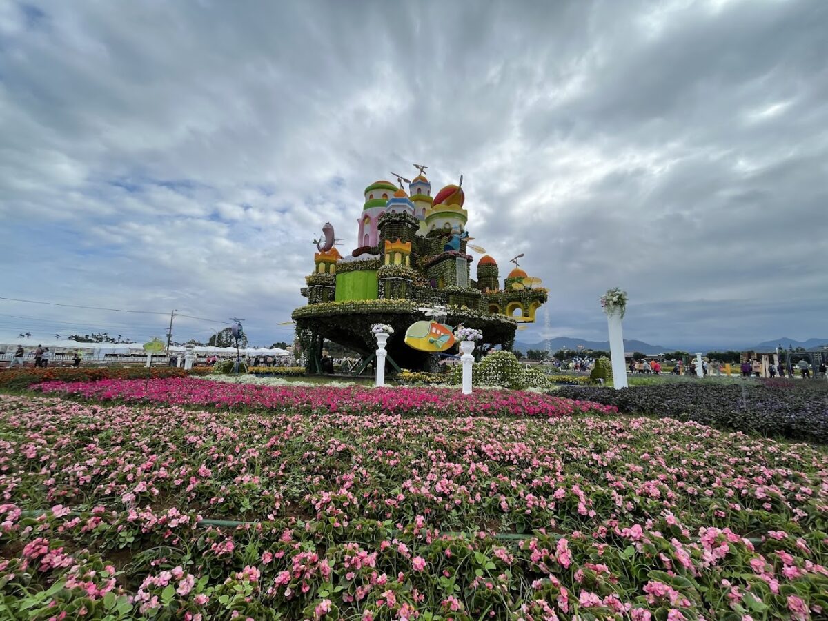 台中新社花海全景
