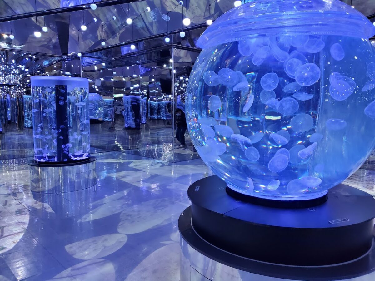 Xpark 水族館外觀與主視覺