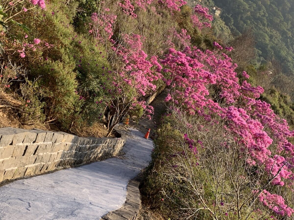 梅嶺古道與步道景觀