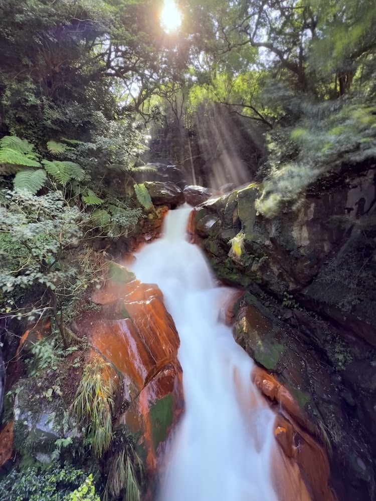 陽明山森林步道與水源地景色