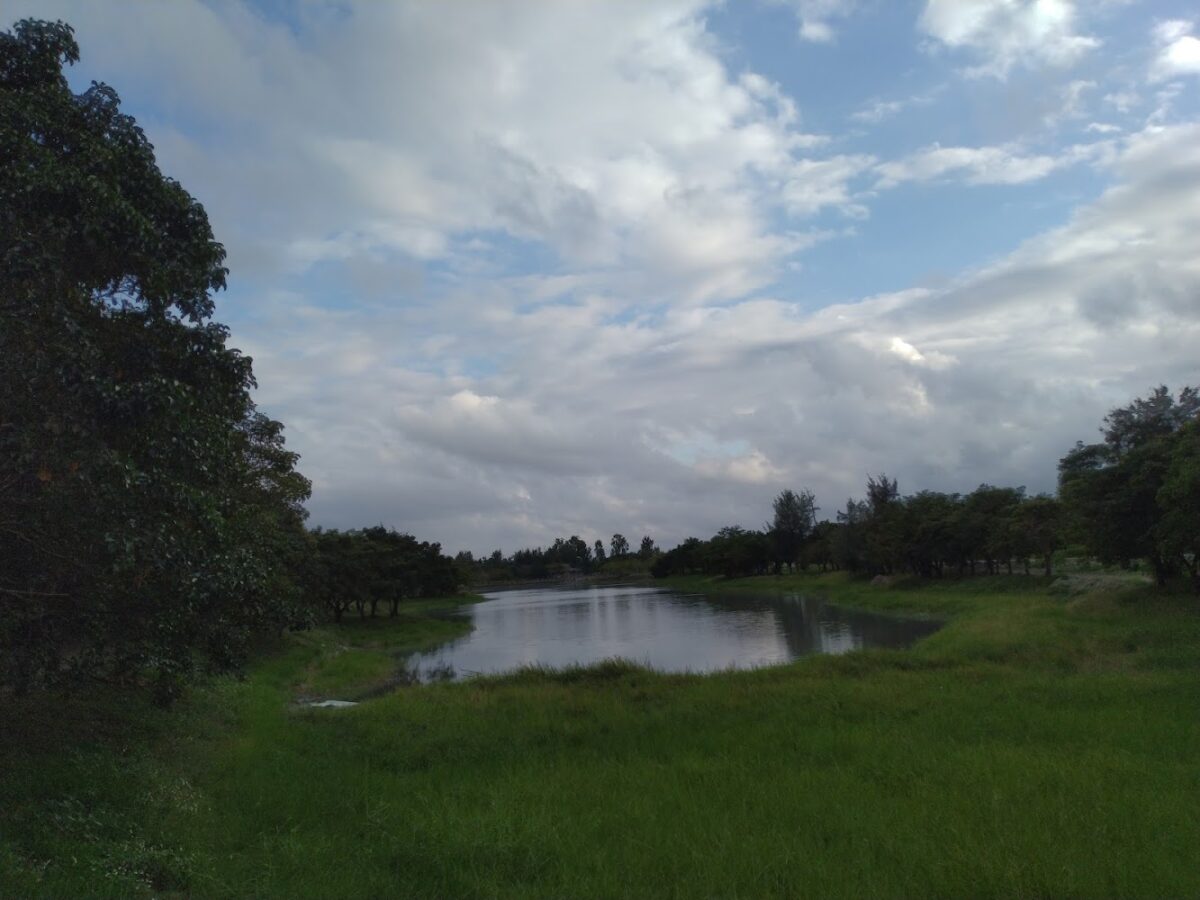 鷺鷥湖美景