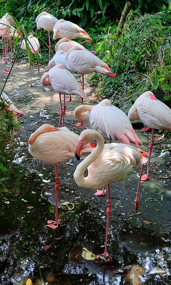 鳥園生態環境