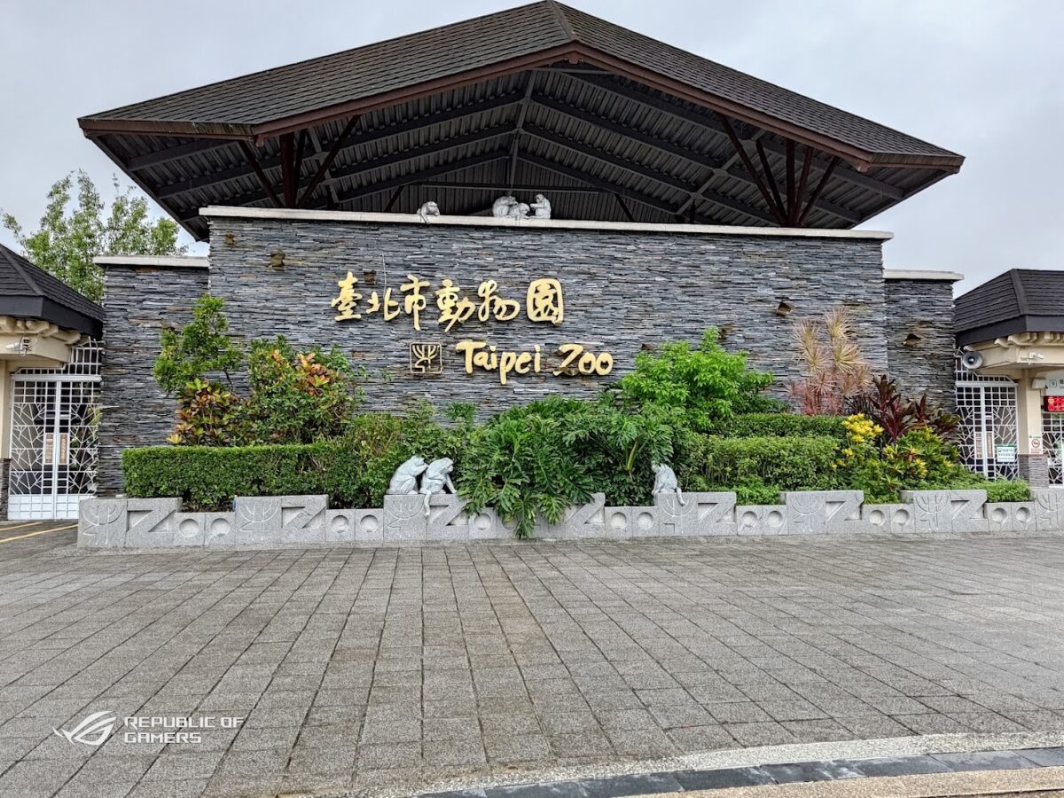 兒童動物區可愛動物
