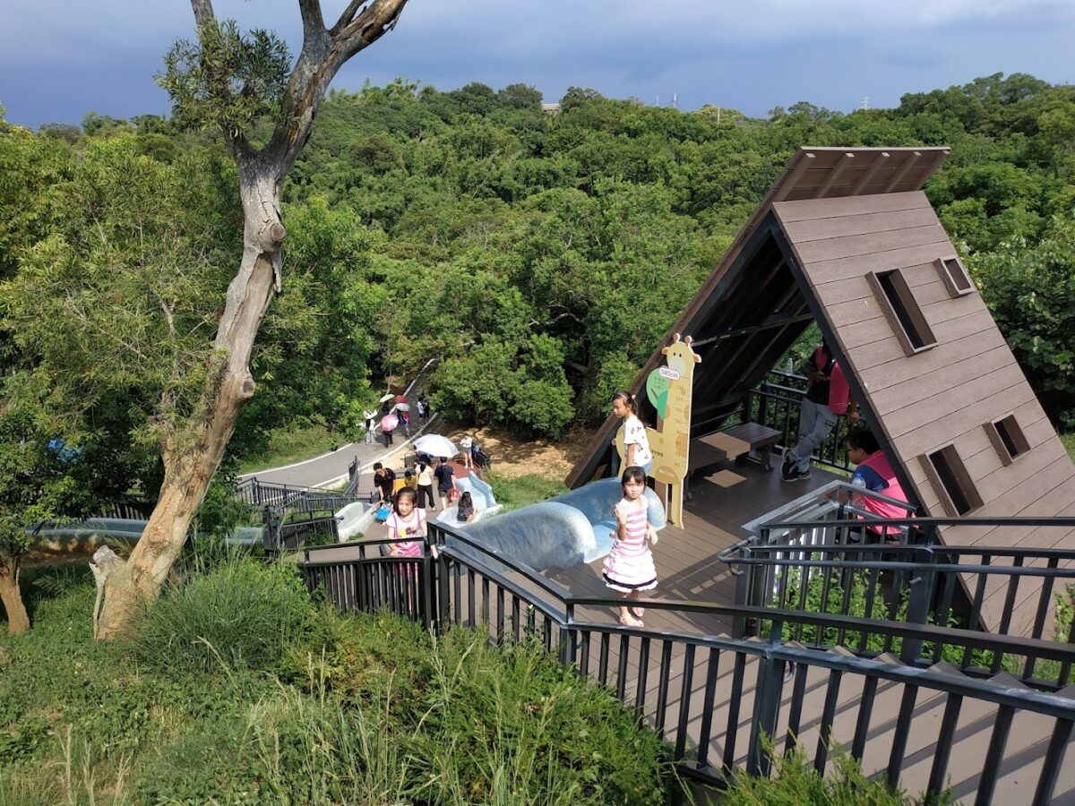 青青草原溜滑梯