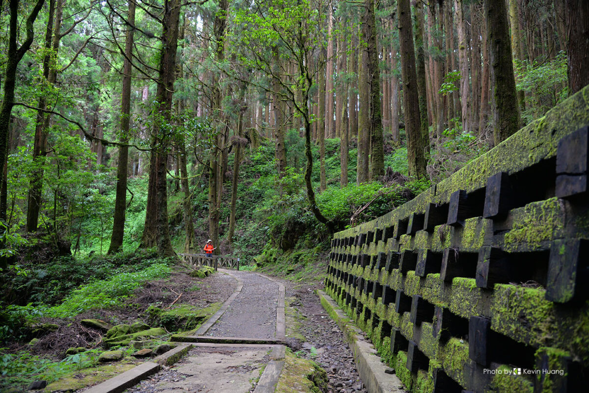 特富野古道森林鐵道景觀