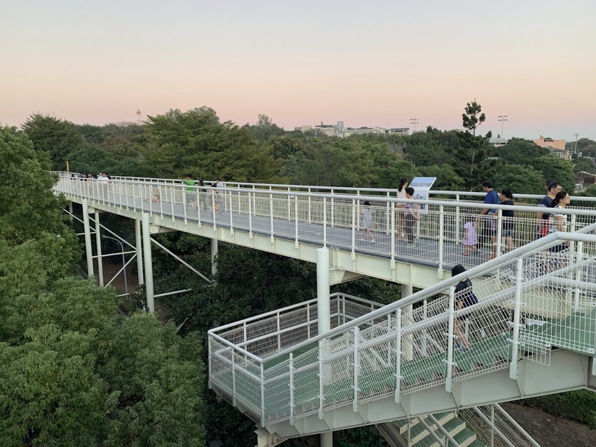 八卦山天空步道遠眺景觀