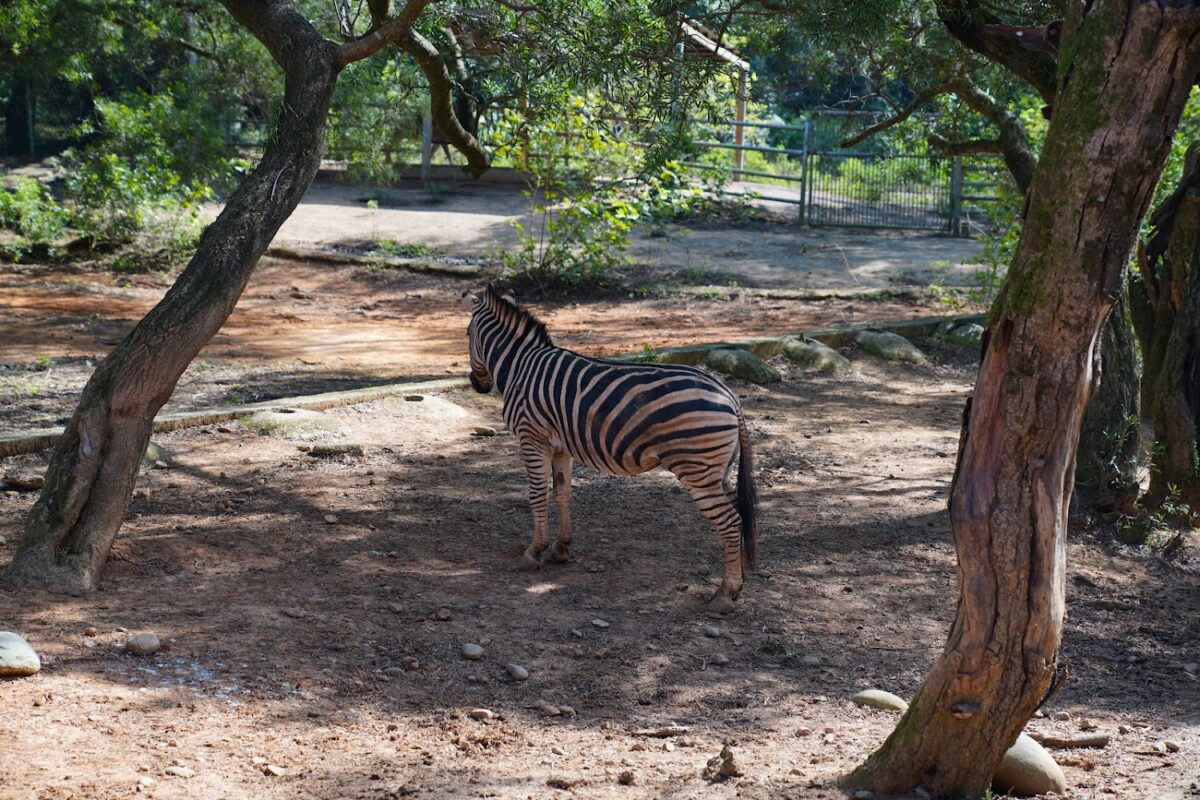 六福村野生動物區