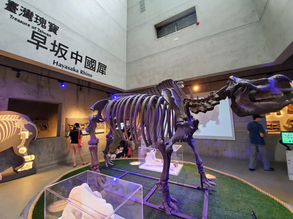 博物館內部景觀