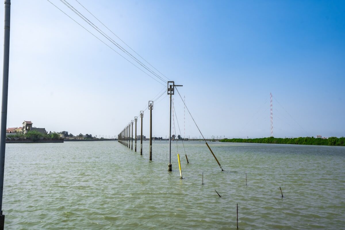 湖口溼地