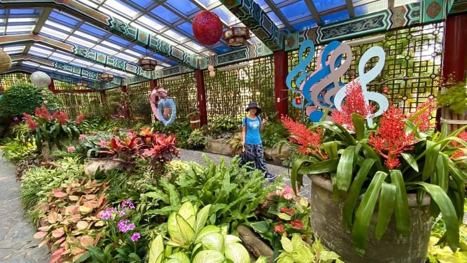 士林官邸盛開的花卉展覽