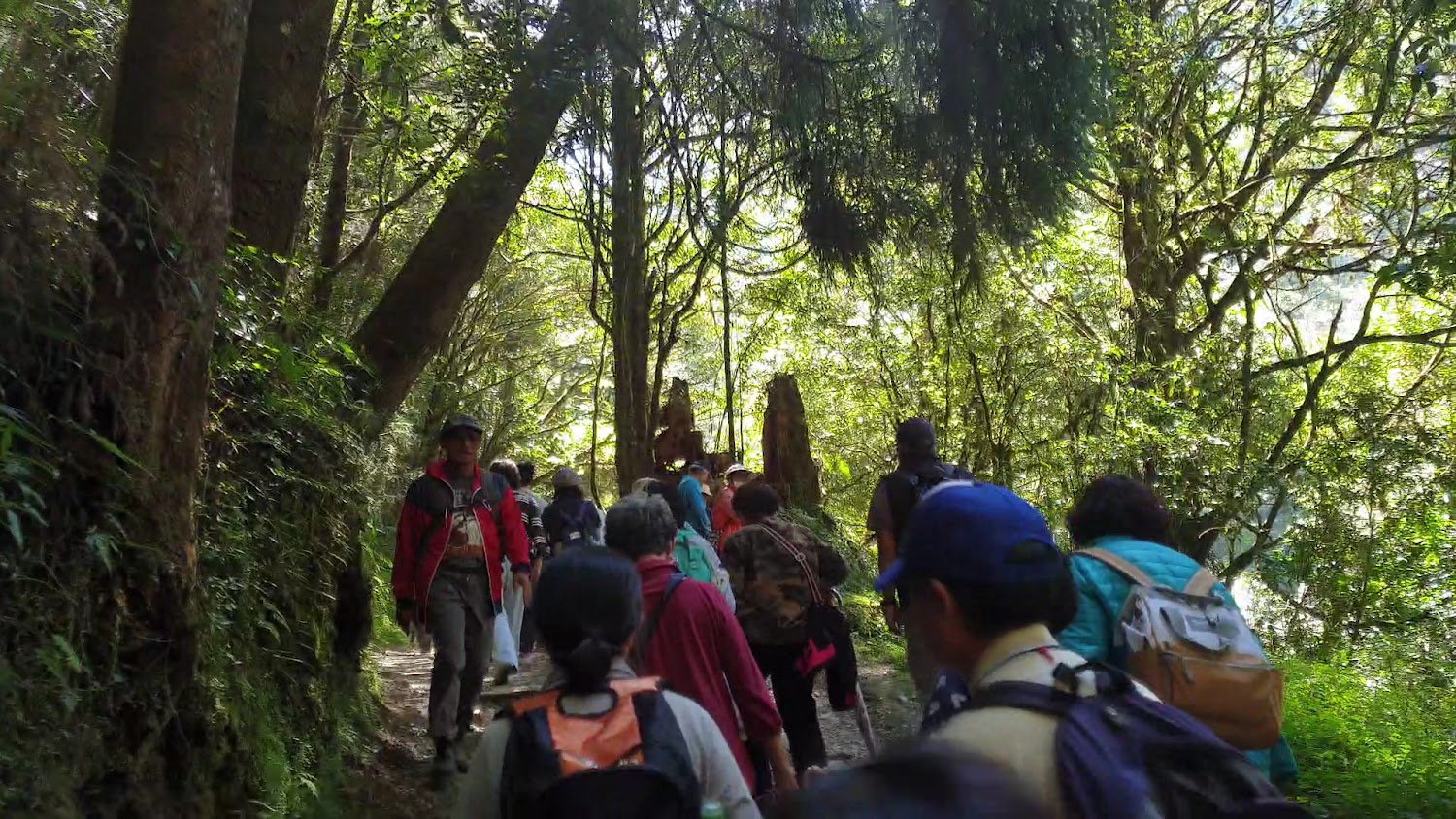 特富野古道鐵軌路段