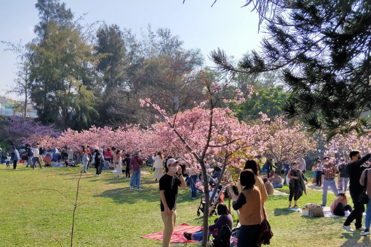 新竹公園景觀