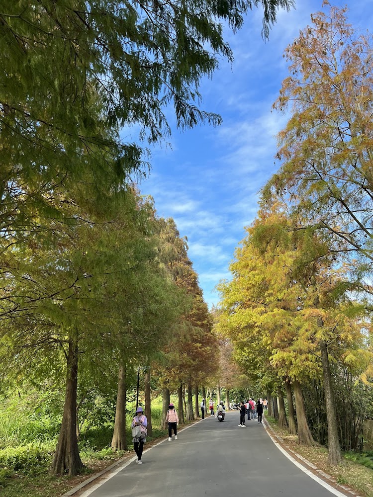 鄰近的健行步道指標