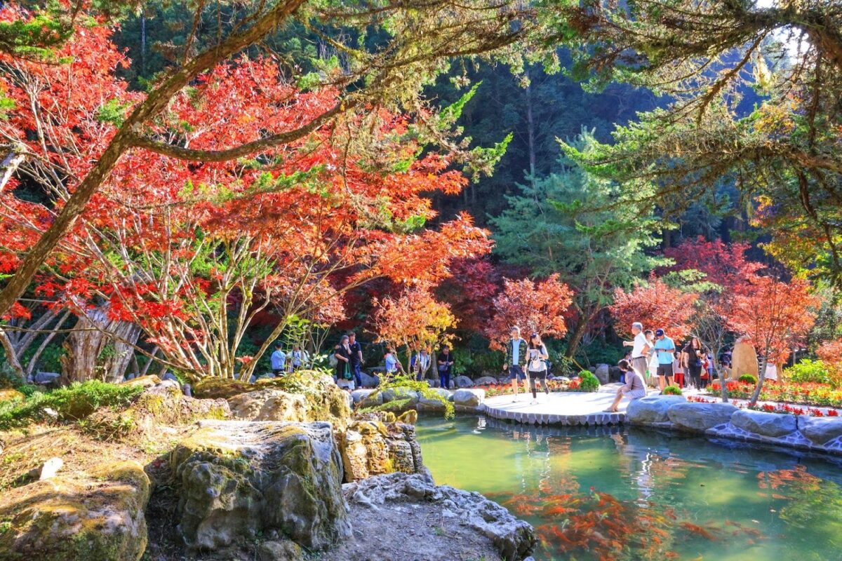 杉林溪日月池美景
