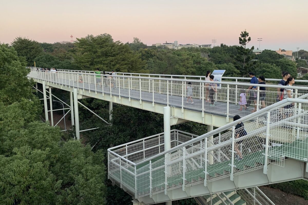 八卦山天空步道風景