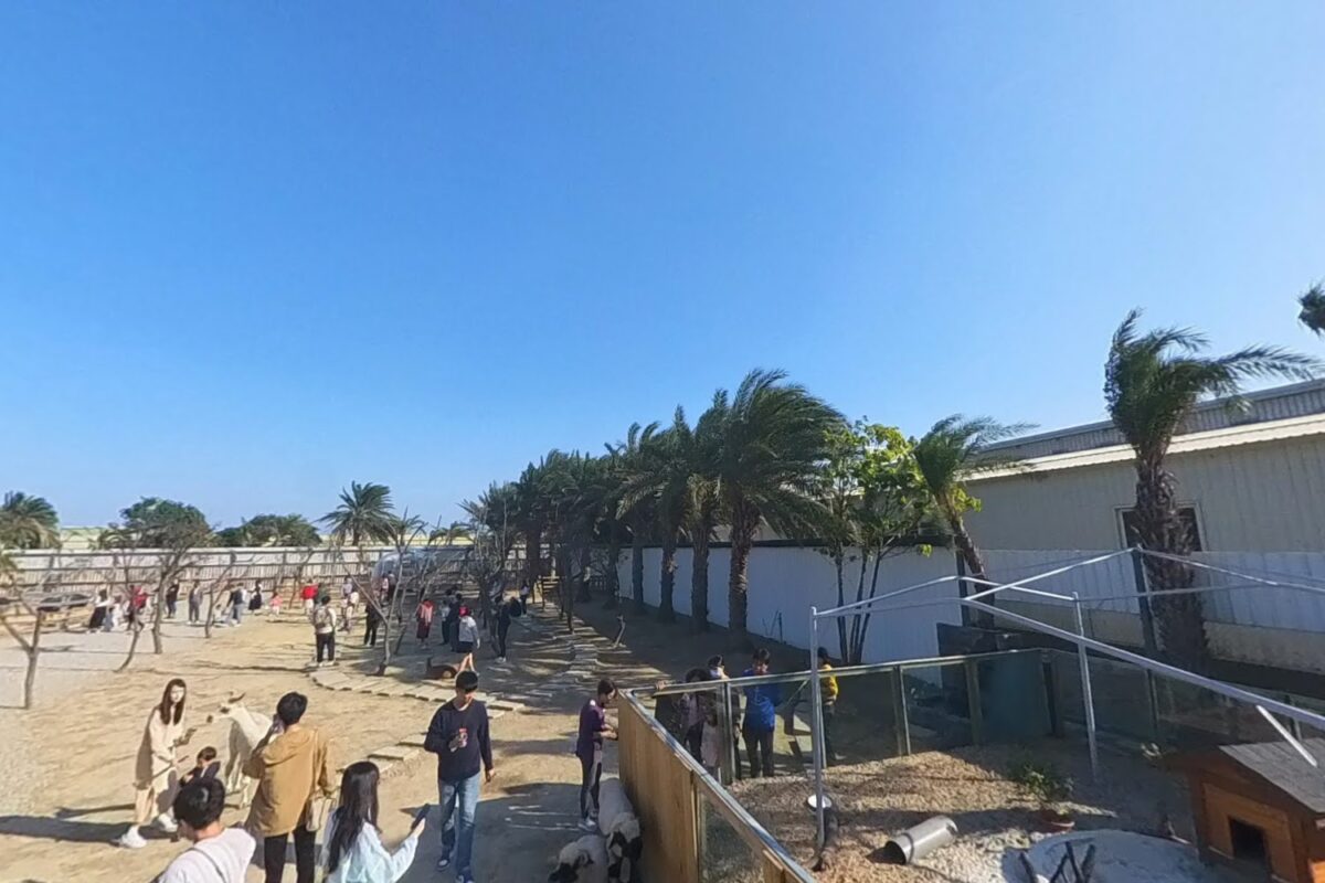 農場360度環景