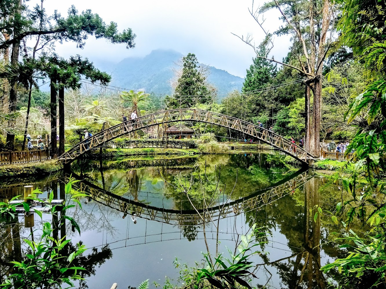 溪頭步道與自然景觀
