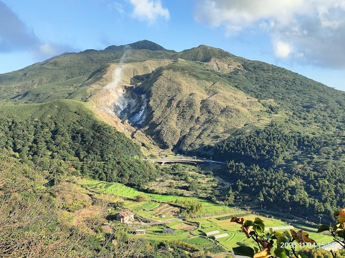 竹子湖美景