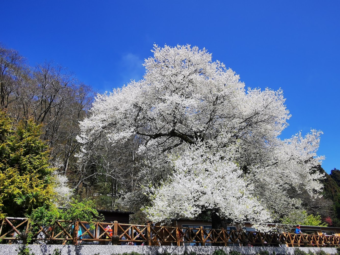 雪霸國家公園山景