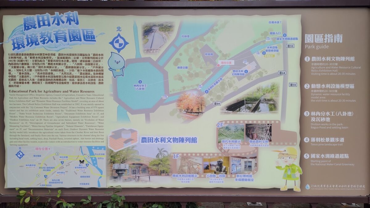 林內落羽松近景