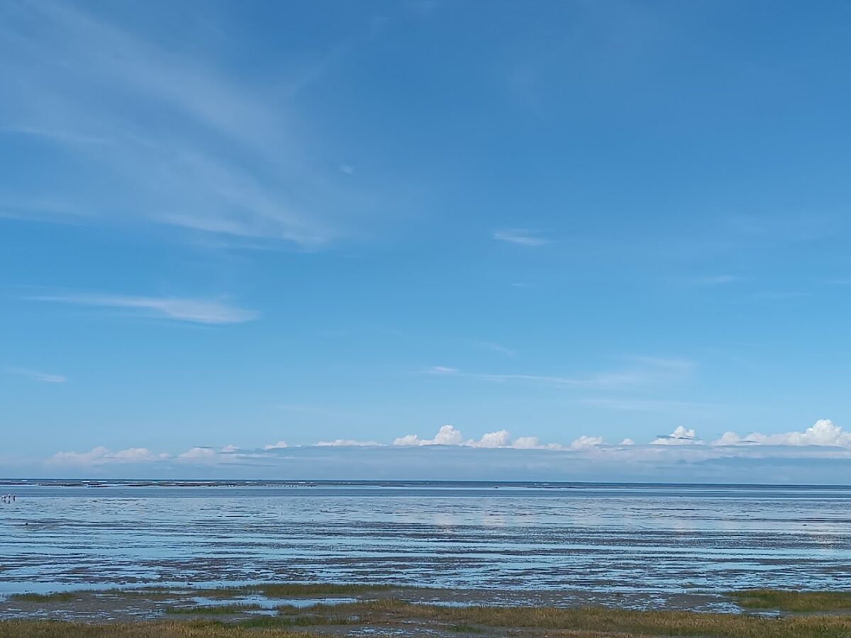 風情海岸遼闊濕地景觀