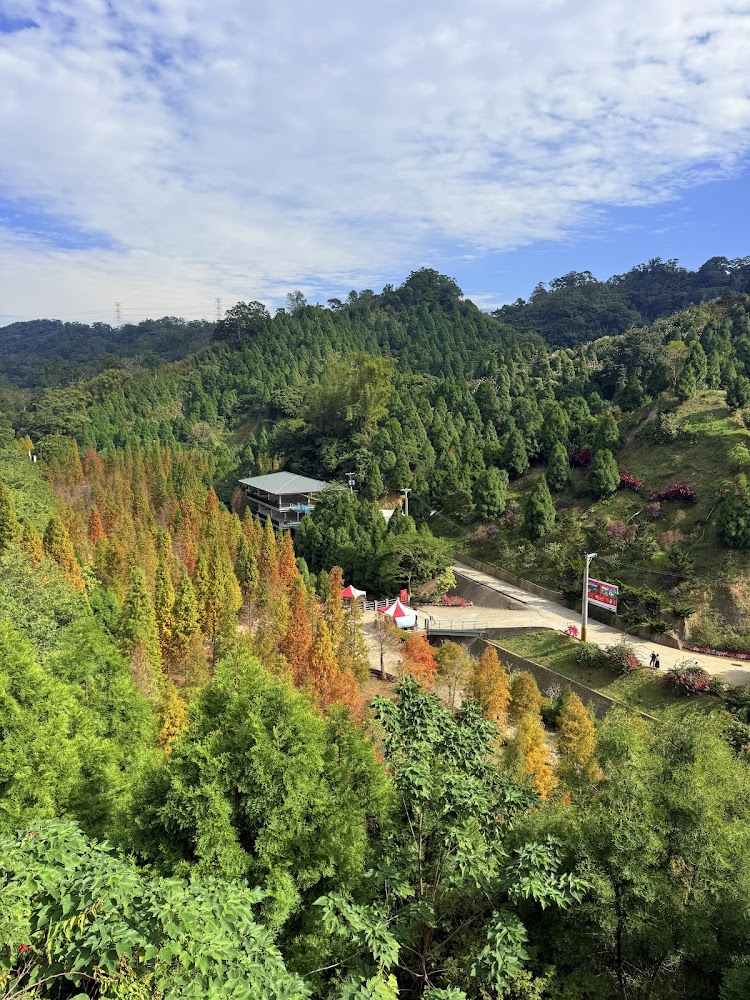 步道較為原始，更有探險樂趣