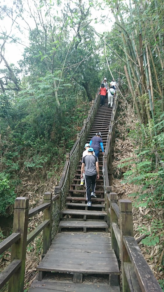 大坑 10 號步道