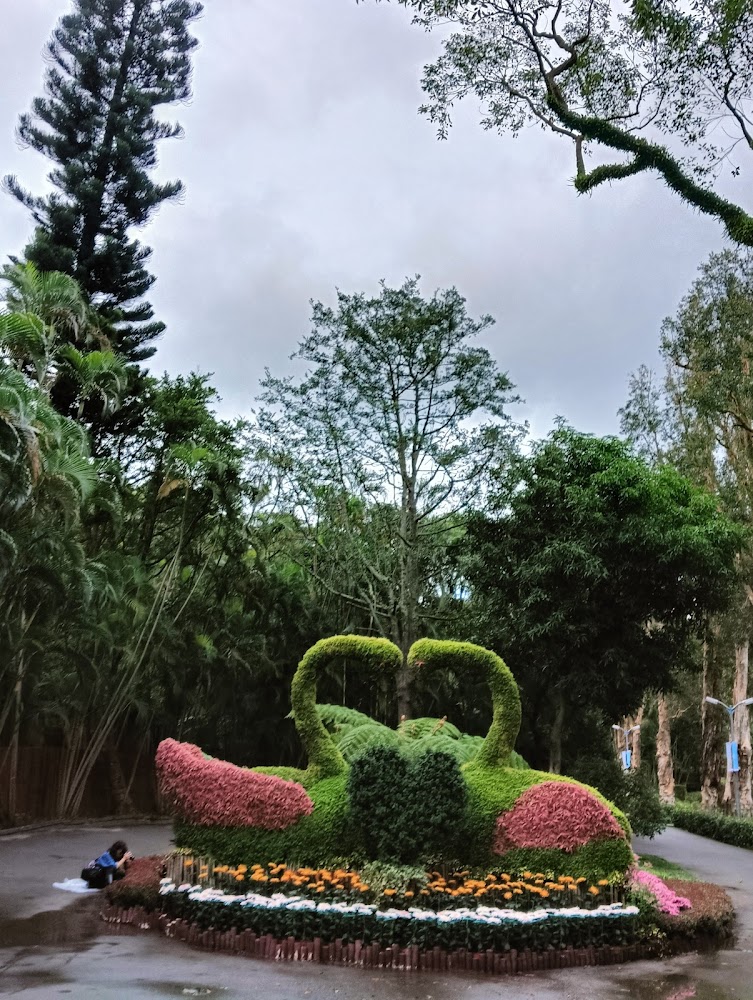 著名的士林官邸玫瑰園