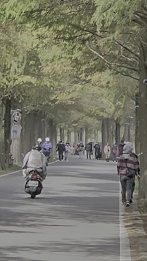公園內的步道與休閒設施