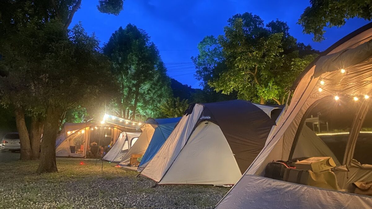 桃園復興大樹下露營區美景