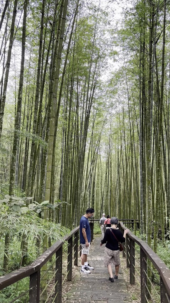 迷糊步道生態豐富，適合季節性賞花與觀螢