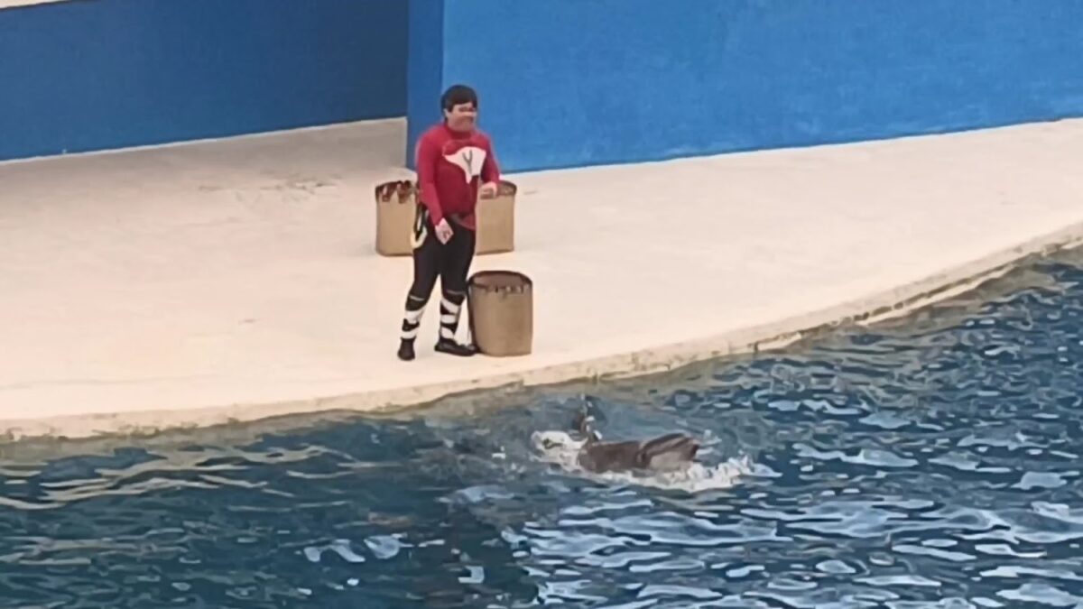探險島水族館海底隧道