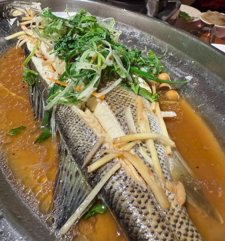 清蒸海鱸魚