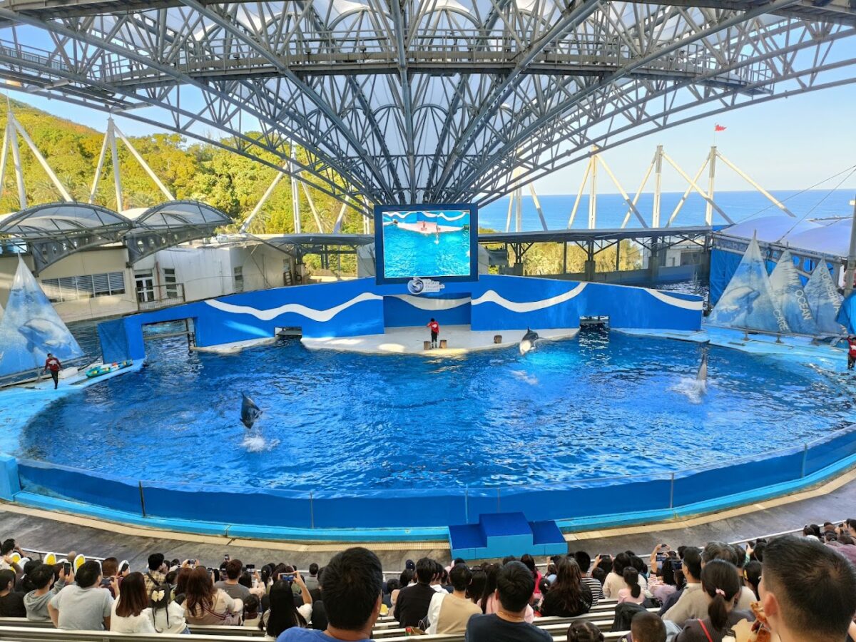 海洋劇場表演