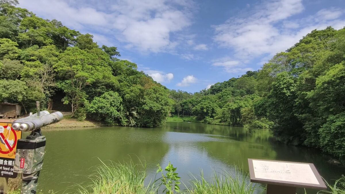 綠世界天鵝湖區