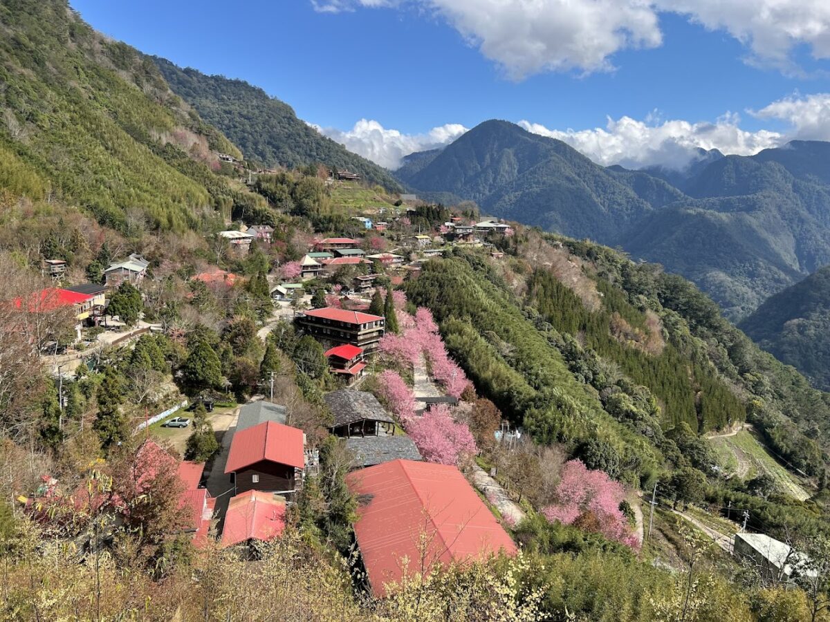 司馬庫斯部落景觀
