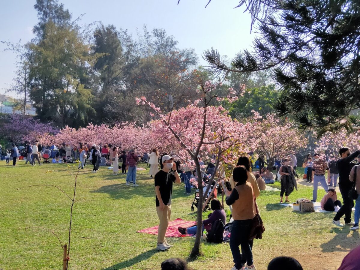 新竹公園景觀